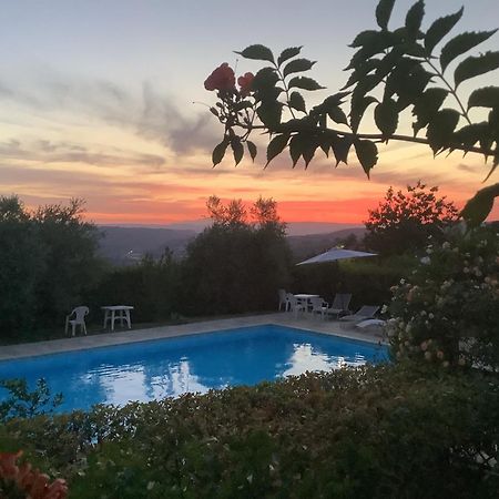 Le Macchie Villa Baschi Ngoại thất bức ảnh