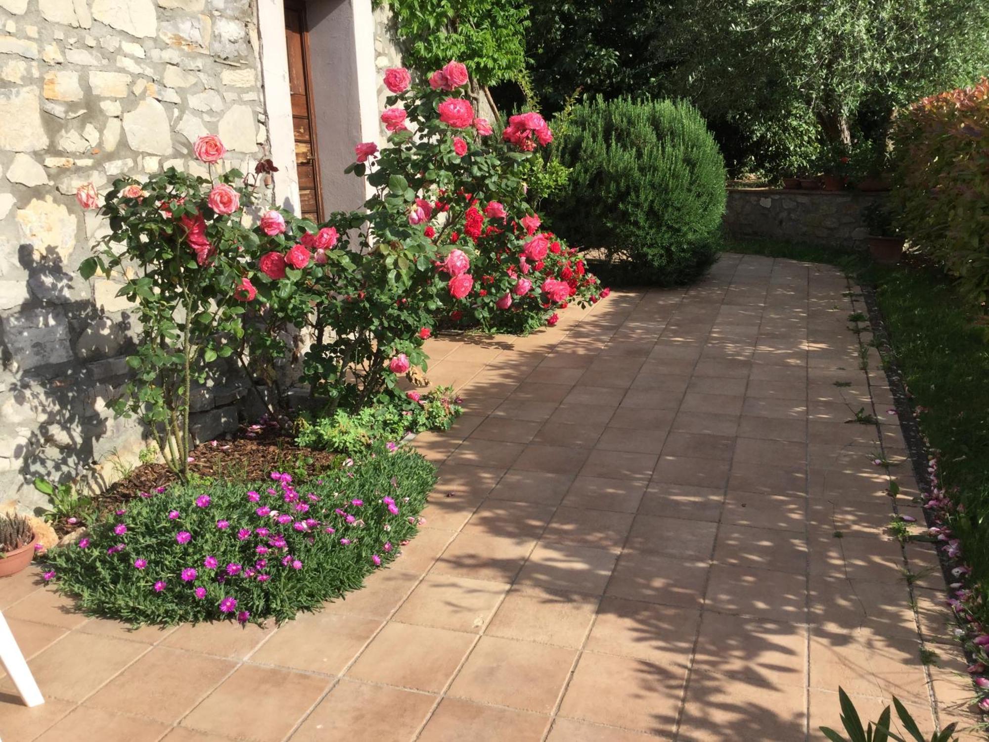 Le Macchie Villa Baschi Ngoại thất bức ảnh